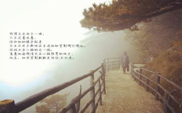《目送》心得体会参考5篇