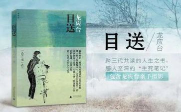 《目送》读书心得8篇