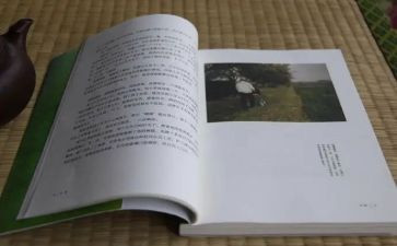 读《目送》心得体会推荐5篇