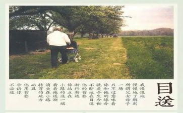 读目送读后感精选5篇