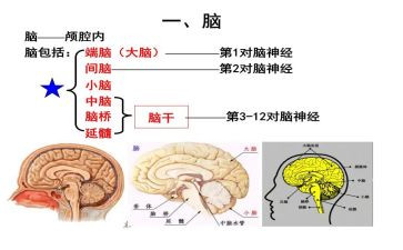 电脑设备采购合同6篇