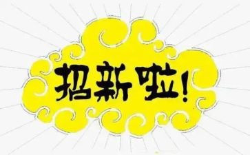 纳新的工作总结最新8篇