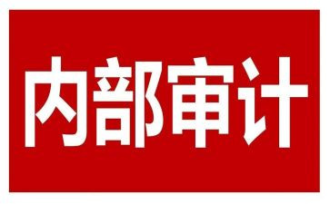 把内审工作总结6篇