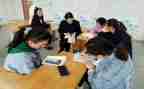 一年级语文教学工作总结模板5篇