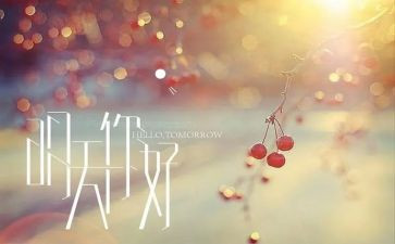 你好语言教案5篇