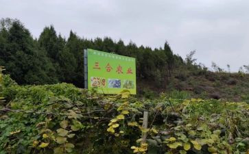 农产品收购合同优质5篇