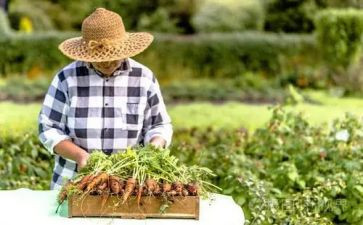 农夫与蛇读后感推荐8篇