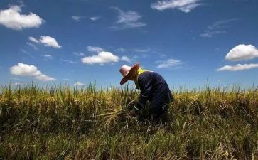 农夫与蛇读后感6篇