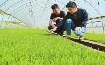 2024年农技人员工作总结8篇