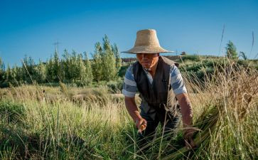 农民合同推荐5篇