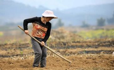 农民合同最新6篇