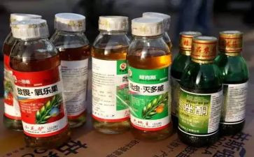 农药销售工作总结5篇