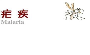 全国疟疾日活动总结7篇