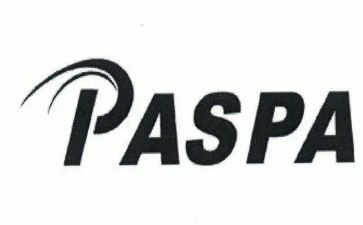 pa的工作总结7篇