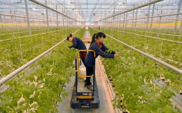 弘扬和培育民族精神月活动总结8篇