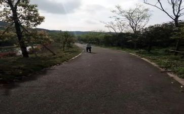 我前进作文优秀5篇