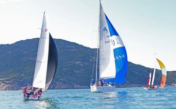 2024梦想启航作文精选7篇