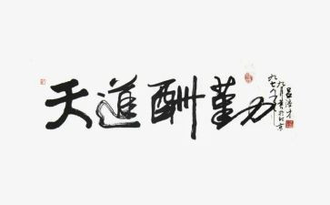 2024年后勤副校长述职报告5篇