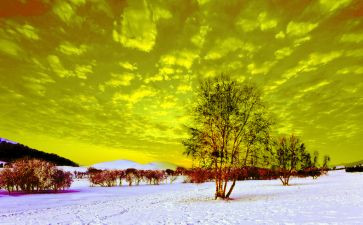 写清晨的雨的作文模板6篇