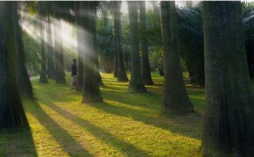 写清晨的雨的作文优秀7篇