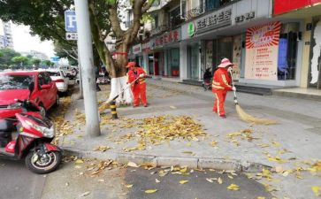 清扫校园的活动总结优秀8篇