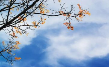 秋季消防安全总结6篇