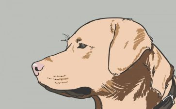 野犬女皇的读后感8篇