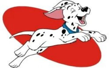 犬培训总结参考5篇