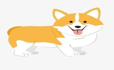 犬培训总结7篇