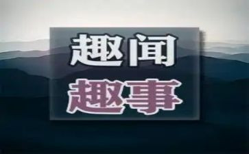 书的趣事作文模板5篇