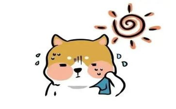 冷和热科学课教案精选8篇
