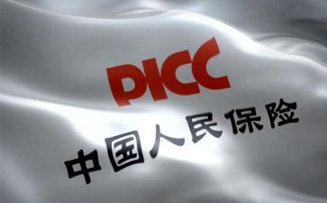个人保育工作总结5篇