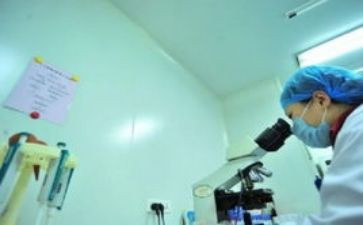 教师工作总结个人工作年度总结参考6篇