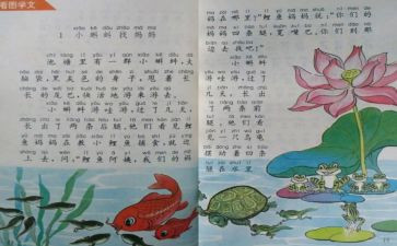 成人教育大专毕业自我鉴定5篇
