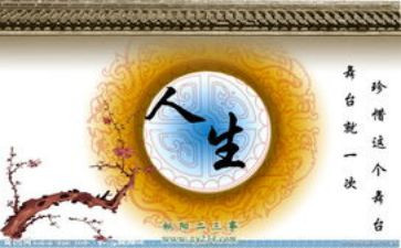 《人生不过如此》读后感7篇