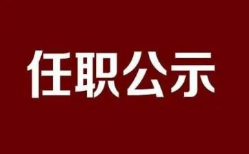 现任职工作总结8篇