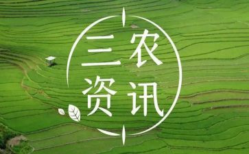 三农工作心得6篇