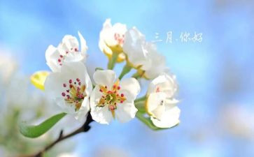 2024年中班三月份工作总结最新6篇