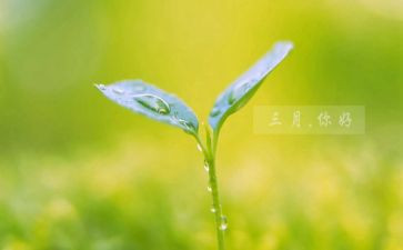 学生会三月工作总结8篇