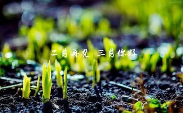 幼儿中班三月份工作总结6篇