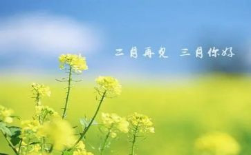 三月工作总结5篇