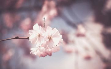 幼儿园大班三月工作总结7篇