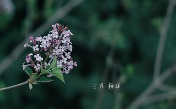 幼儿大班三月份工作总结7篇