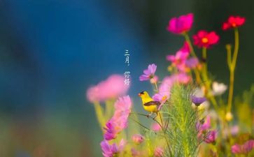 三月工作总结推荐6篇