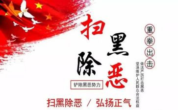 扫黑除恶心得7篇