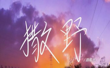 撒野作文6篇