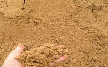 艾青诗选沙读后感8篇