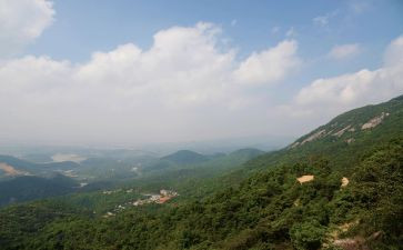 山场租赁合同范本合同8篇