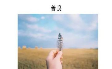 善文化演讲稿最新7篇