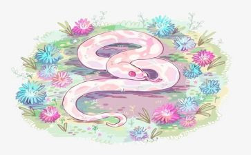 大海蛇读后感6篇